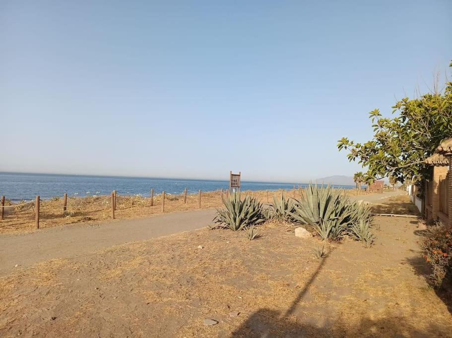 Apartamento De Invitados En Los Rubios A 100 Metros De La Playa 托雷德本纳贾尔邦 外观 照片